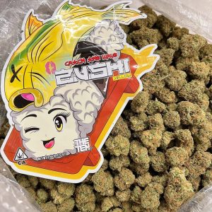 yellow zushi strain